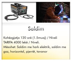 DRFPP1---SALDIM